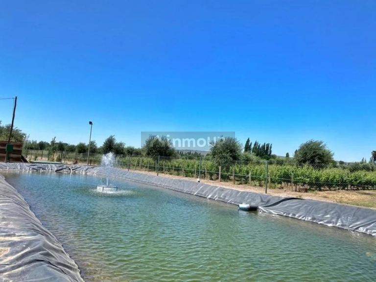 Lote en Venta en Maipu, Mendoza