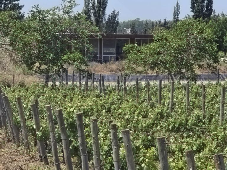Finca en Venta en Tunuyan, Mendoza