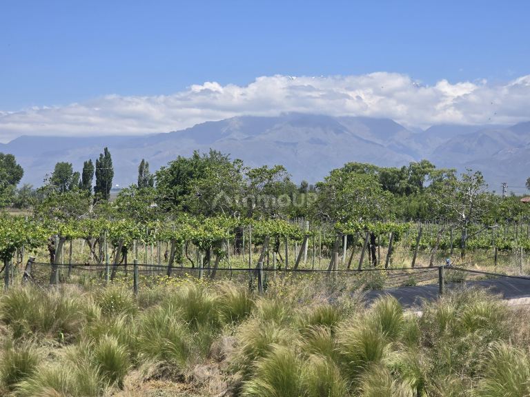 Finca en Venta en Tunuyan, Mendoza