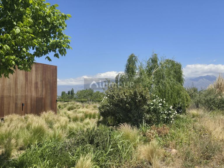 Finca en Venta en Tunuyan, Mendoza