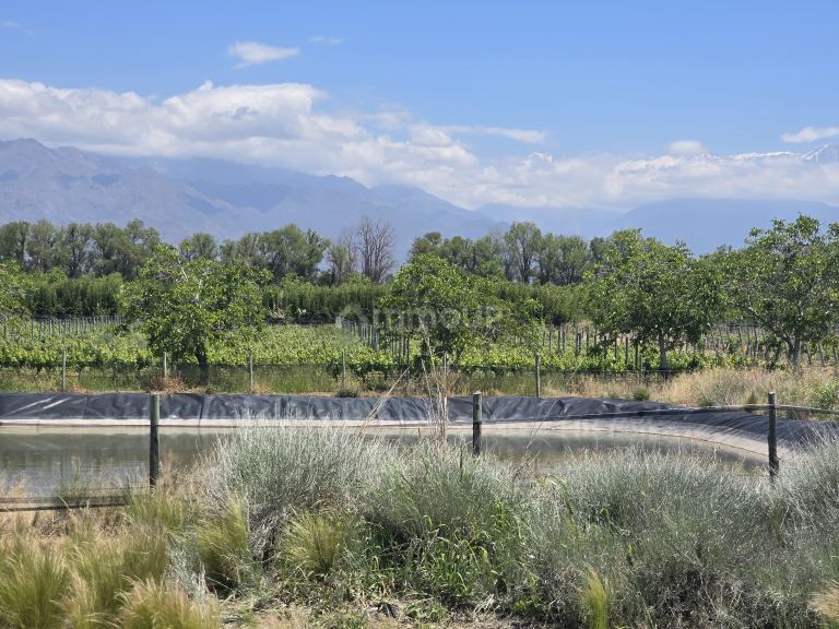 Finca en Venta en Tunuyan, Mendoza