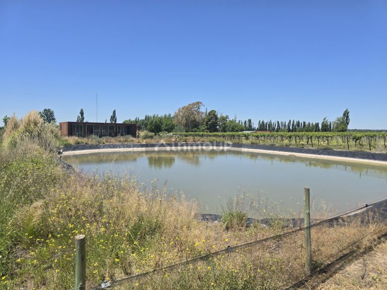 Finca en Venta en Tunuyan, Mendoza
