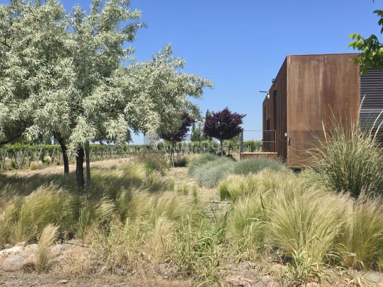 Finca en Venta en Tunuyan, Mendoza