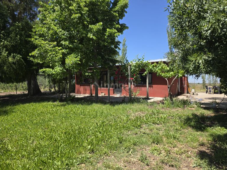 Finca en Venta en Tunuyan, Mendoza