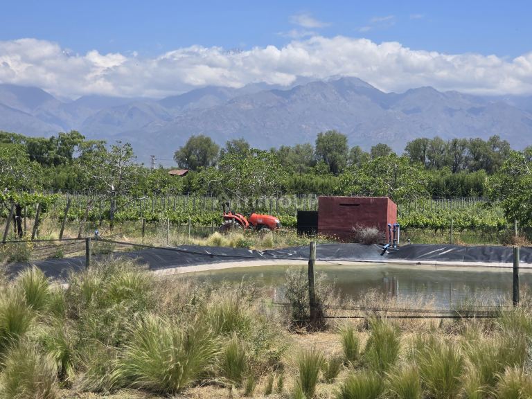Finca en Venta en Tunuyan, Mendoza