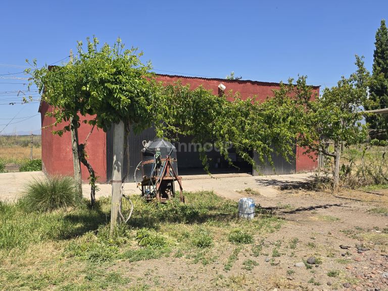 Finca en Venta en Tunuyan, Mendoza