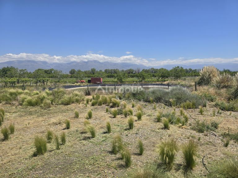 Finca en Venta en Tunuyan, Mendoza