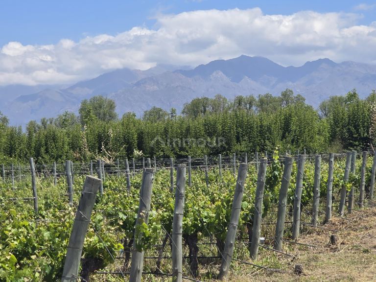 Finca en Venta en Tunuyan, Mendoza