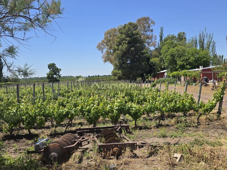 Finca en Venta en Tunuyan, Mendoza