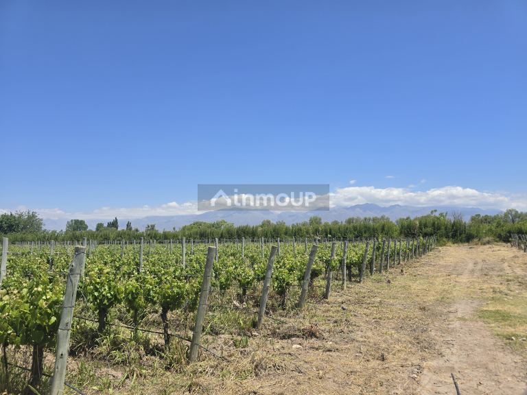 Finca en Venta en Tunuyan, Mendoza