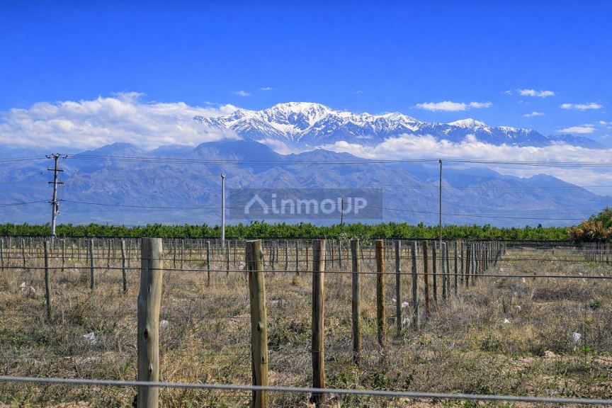 Lote en Venta en Tunuyan, Mendoza