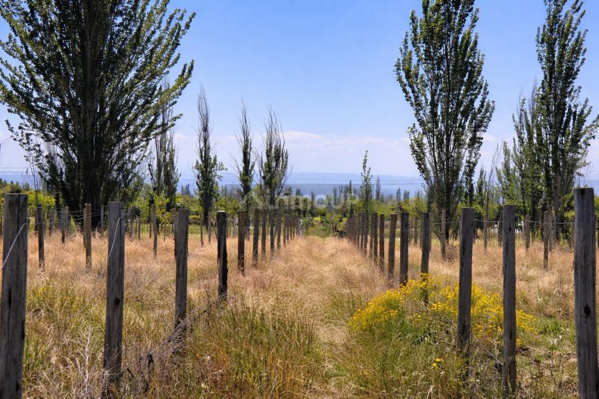 Lote en Venta en Tunuyan, Mendoza