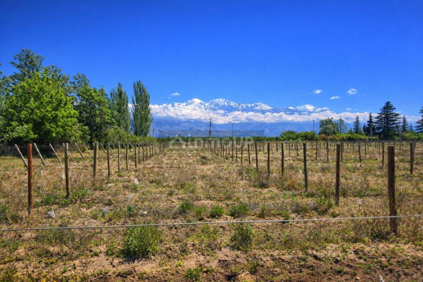 Finca en Venta en Tunuyan, Mendoza