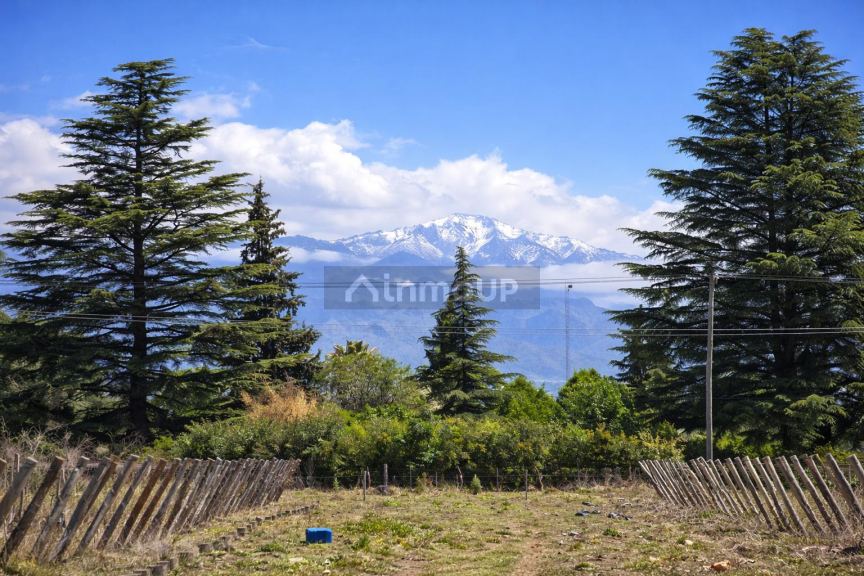 Finca en Venta en Tunuyan, Mendoza