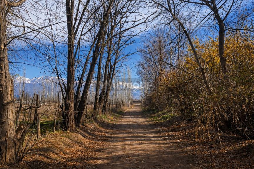 Finca en Venta en Tunuyan, Mendoza
