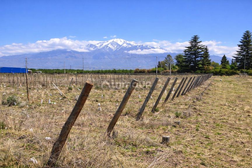 Finca en Venta en Tunuyan, Mendoza