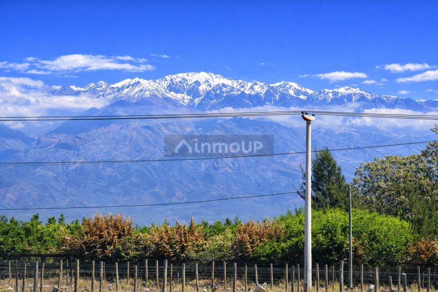 Finca en Venta en Tunuyan, Mendoza