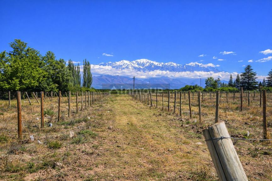 Finca en Venta en Tunuyan, Mendoza