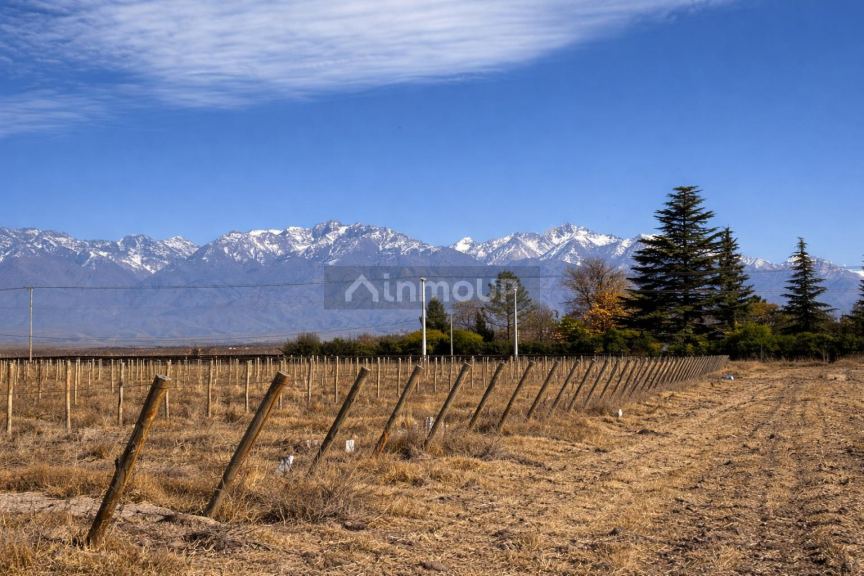 Finca en Venta en Tunuyan, Mendoza