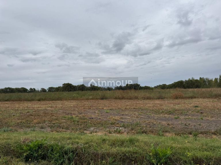 Finca en Venta en Tunuyan, Mendoza