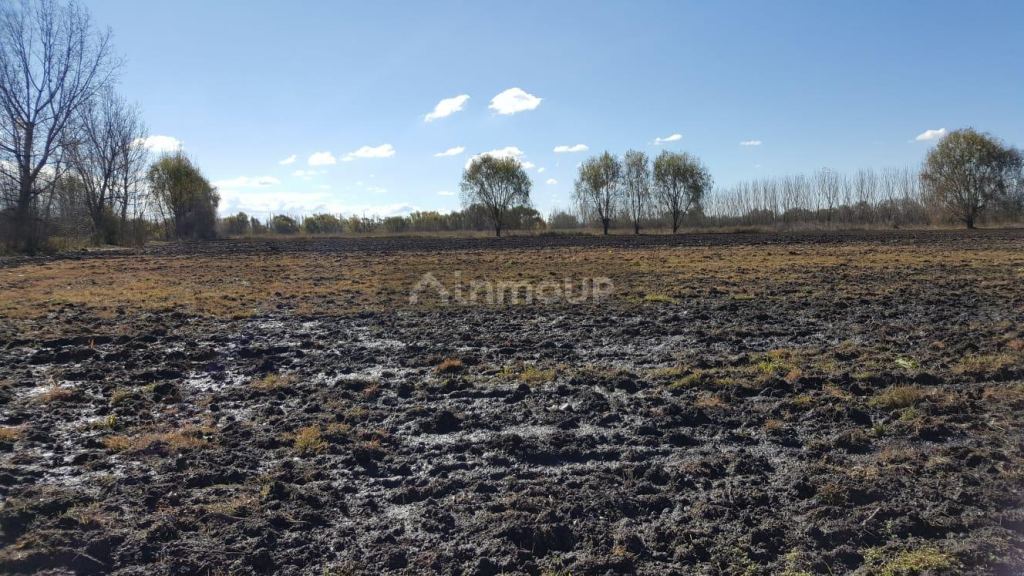Finca en Venta en Tunuyan, Mendoza