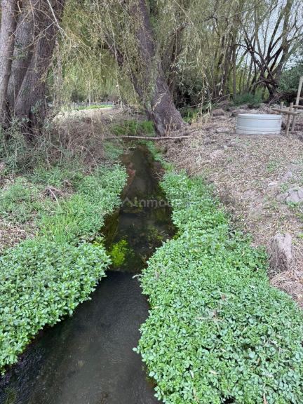 Finca en Venta en Tunuyan, Mendoza