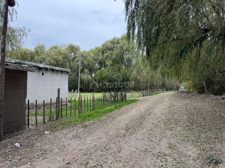 Finca en Venta en Tunuyan, Mendoza