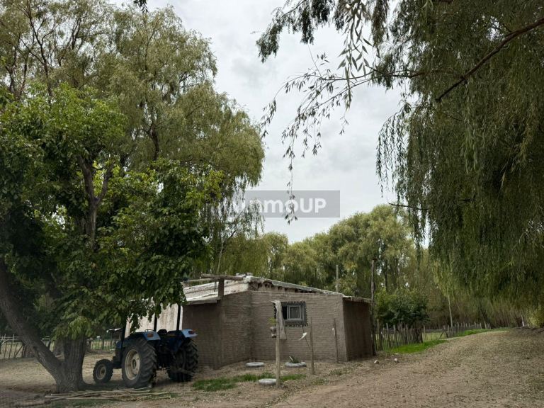 Finca en Venta en Tunuyan, Mendoza