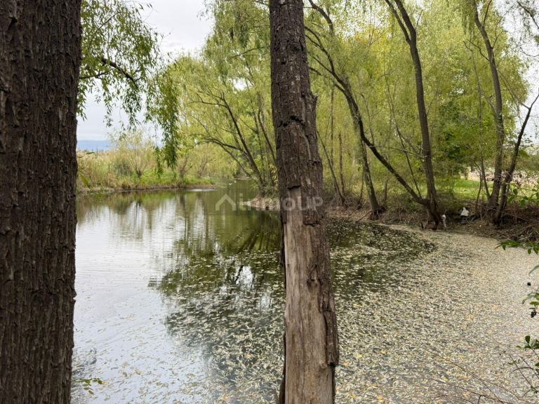Finca en Venta en Tunuyan, Mendoza