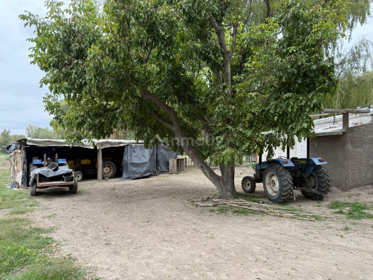Finca en Venta en Tunuyan, Mendoza
