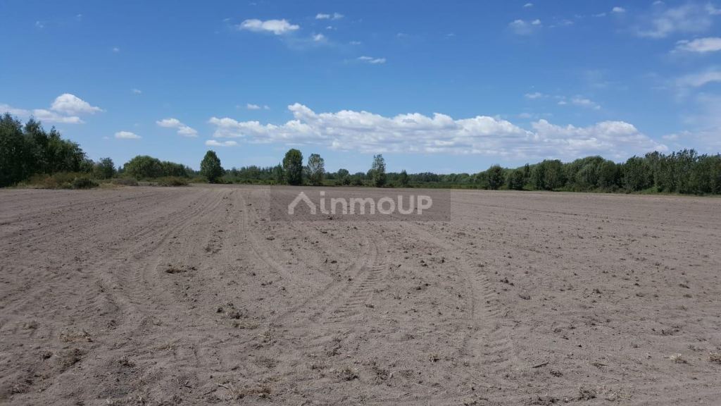 Finca en Venta en Tunuyan, Mendoza