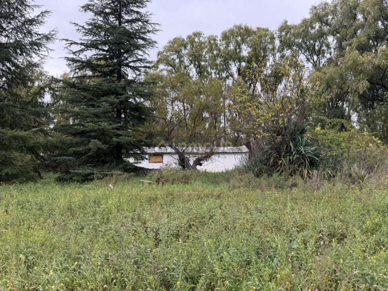 Finca en Venta en Tunuyan, Mendoza