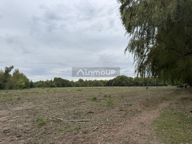 Finca en Venta en Tunuyan, Mendoza