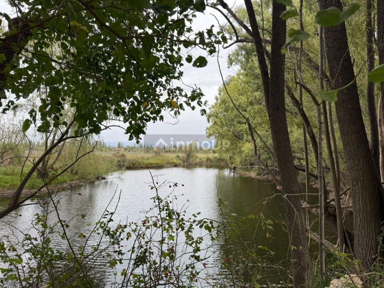 Finca en Venta en Tunuyan, Mendoza