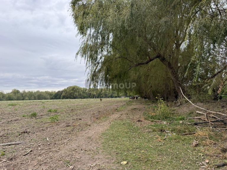 Finca en Venta en Tunuyan, Mendoza