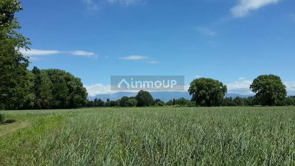 Finca en Venta en Tunuyan, Mendoza