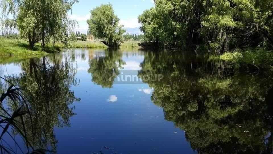 Finca en Venta en Tunuyan, Mendoza
