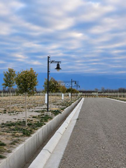Lote en Venta en Tupungato, Mendoza