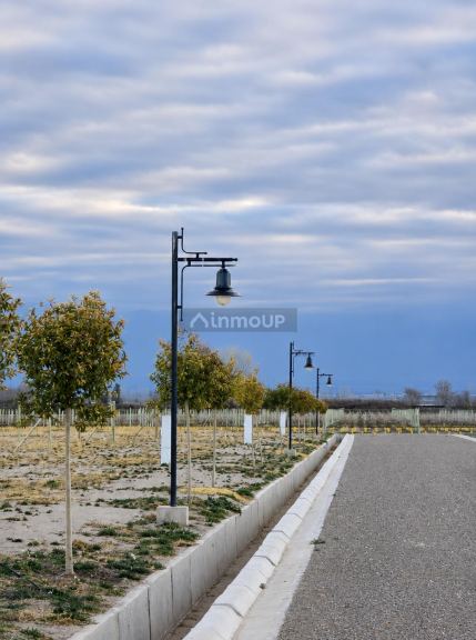 Lote en Venta en Tupungato, Mendoza