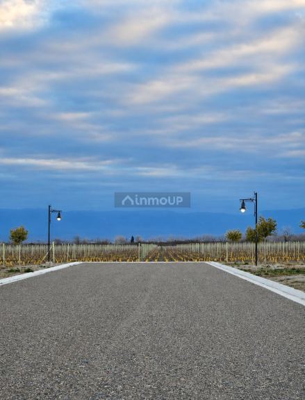 Lote en Venta en Tupungato, Mendoza