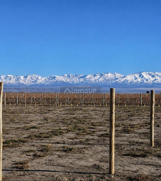 Lote en Venta en Tupungato, Mendoza