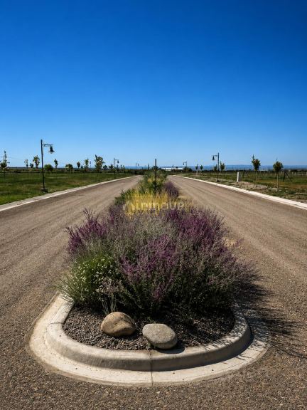 Lote en Venta en Tupungato, Mendoza