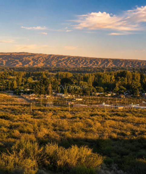 Campo en Venta en Lujan de Cuyo, Mendoza