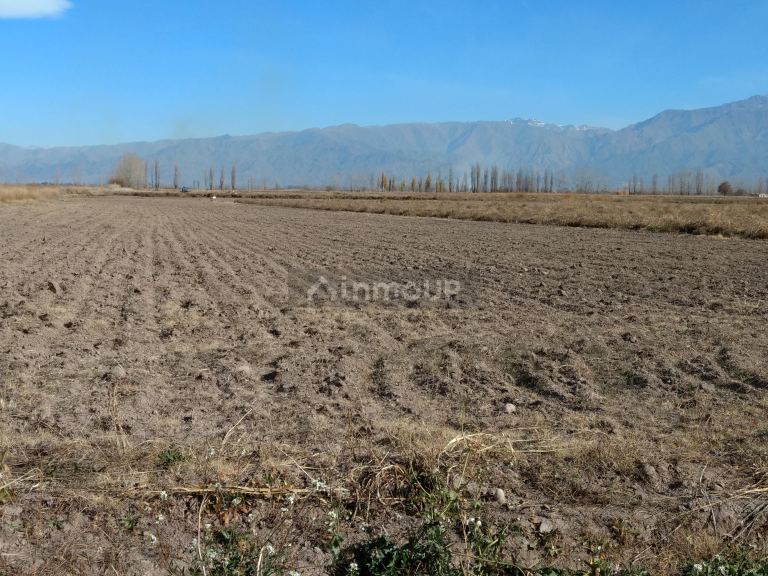 Finca en Venta en Tunuyan, Mendoza