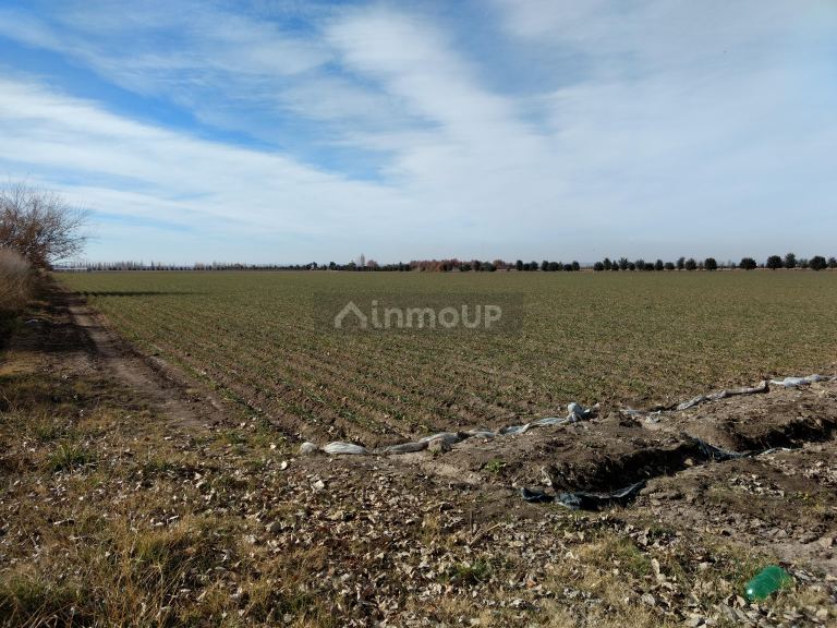 Finca en Venta en Tunuyan, Mendoza