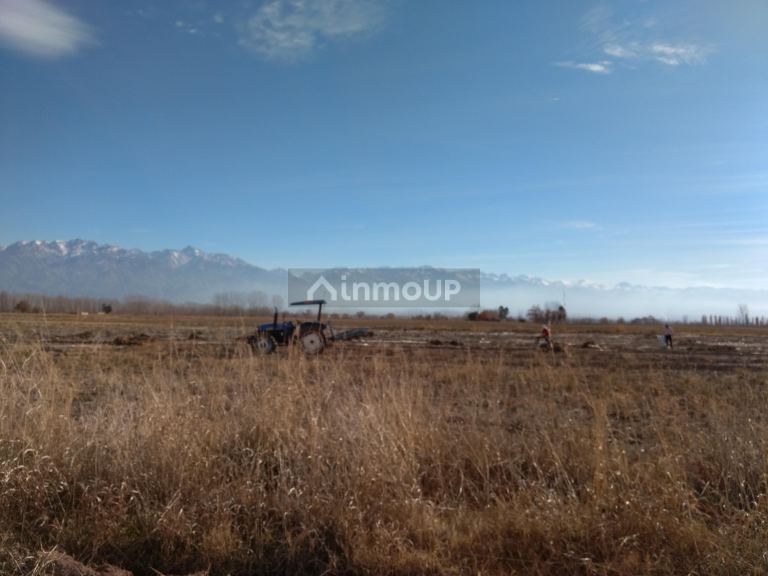 Finca en Venta en Tunuyan, Mendoza