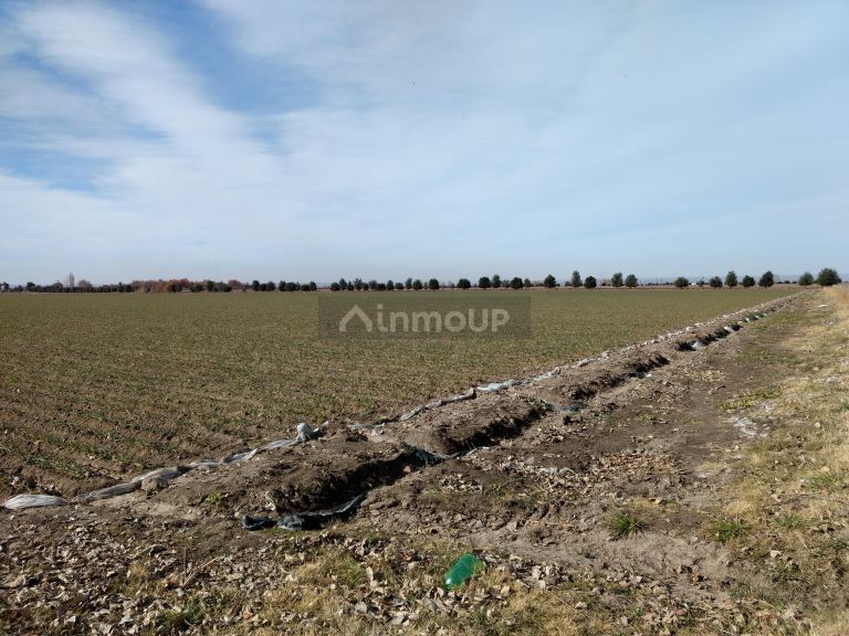 Finca en Venta en Tunuyan, Mendoza