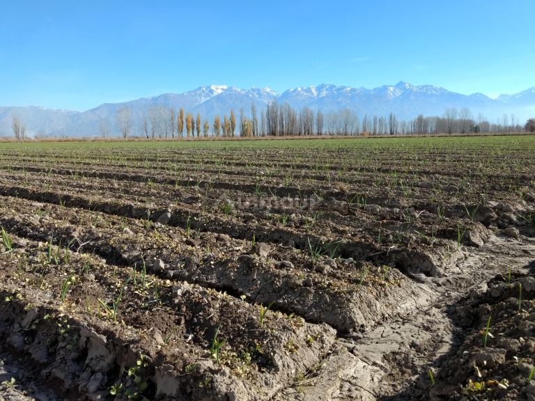 Finca en Venta en Tunuyan, Mendoza