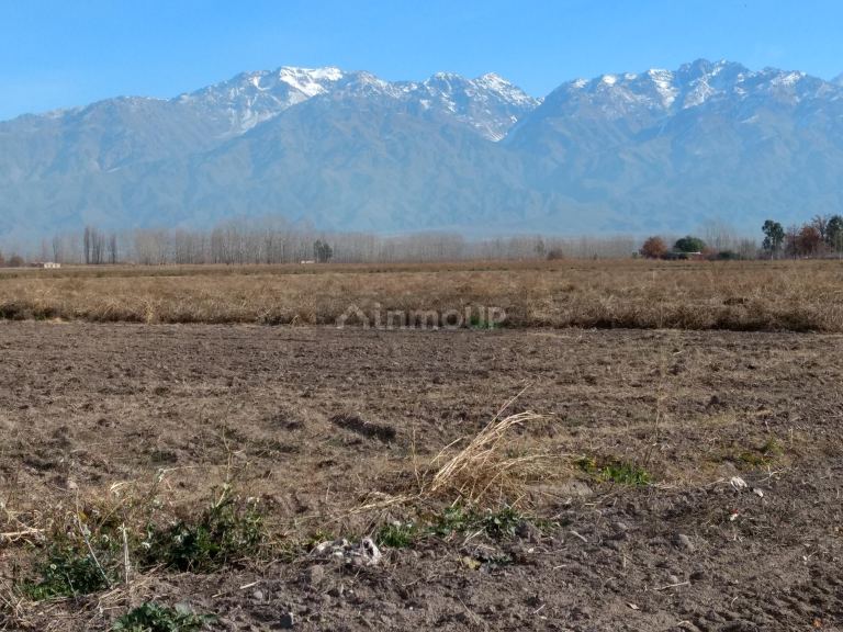 Finca en Venta en Tunuyan, Mendoza