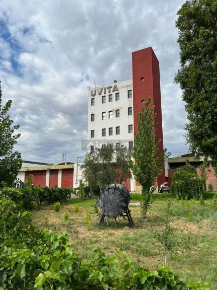 Lote en Venta en Maipu, Mendoza